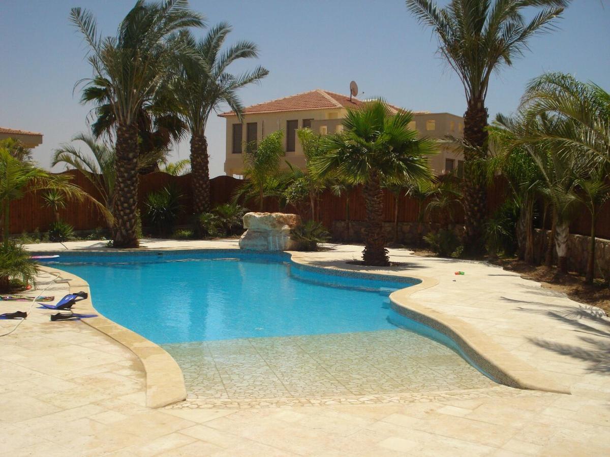 אילת בריכה מחוממת Villa Or - Heated Pool וילה אור מראה חיצוני תמונה